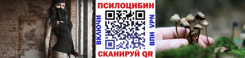Псилоцибиновые грибы мицелий  купить   Светлоград 